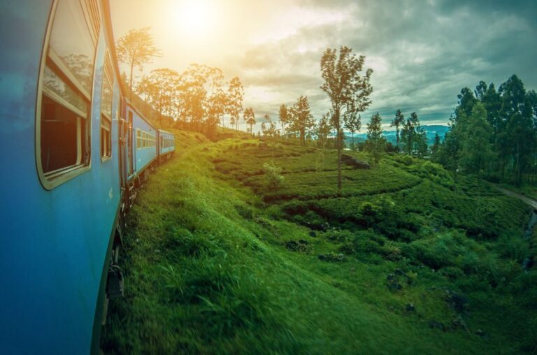 Image of a sunset over a train in Sri Lanka